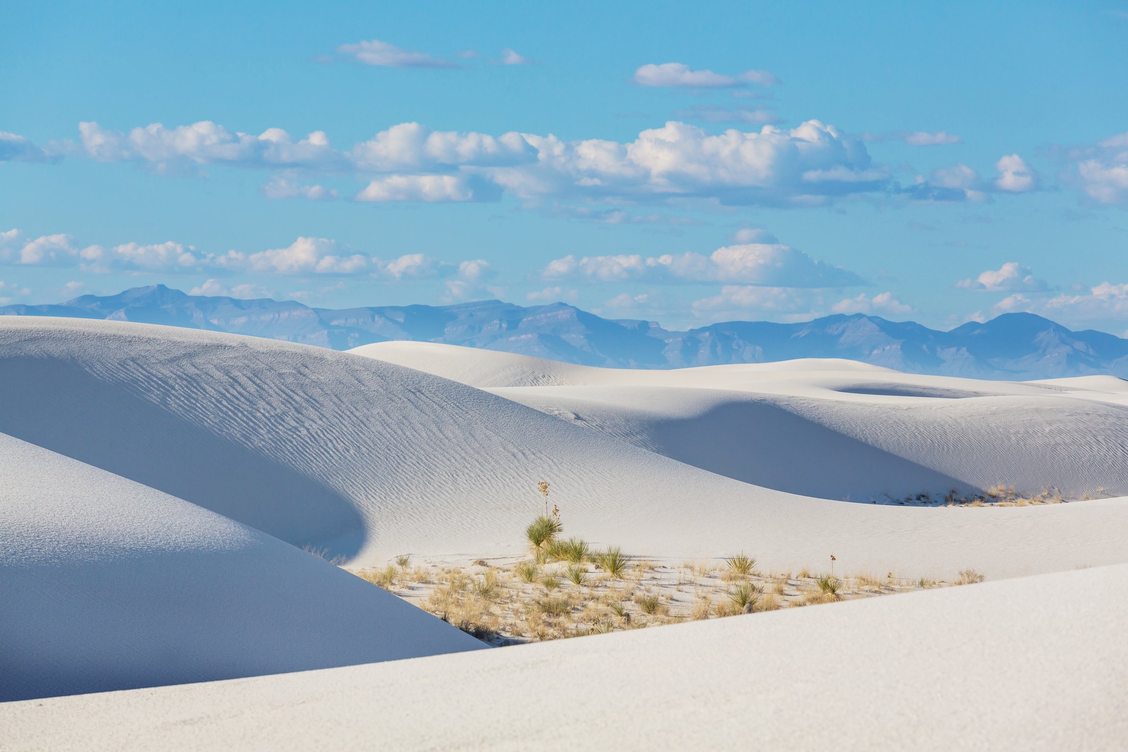 White Sand Dunes